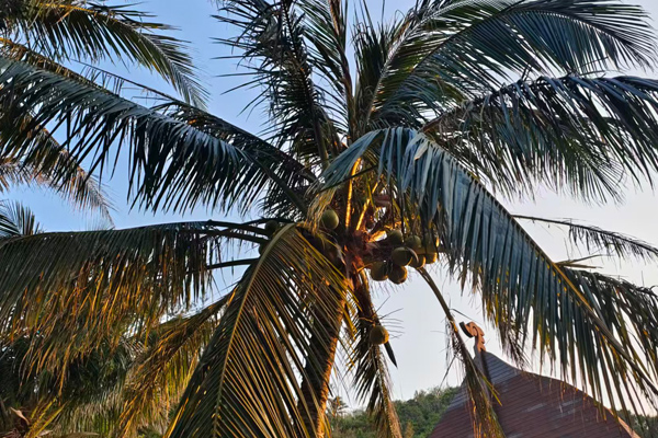 嘉兴创新饮料检测中心：饮料配方调味果香酸甜饮